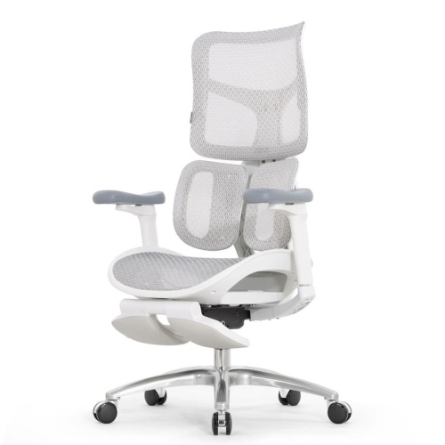 Ортопедическое кресло Falto Scala Office серое Ортопедическое кресло Falto Scala Office серое