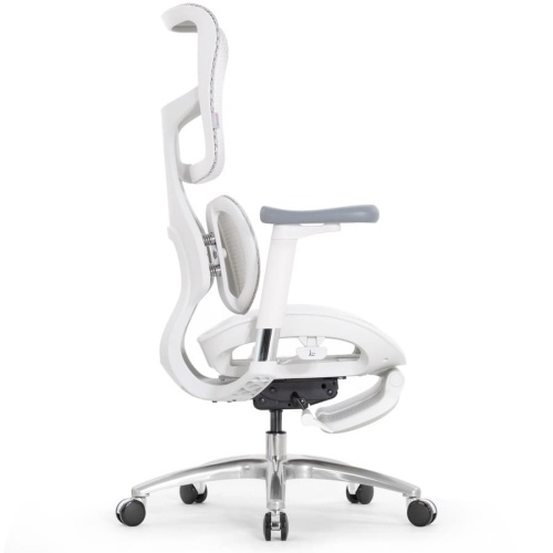 Ортопедическое кресло Falto Scala Office серое Ортопедическое кресло Falto Scala Office серое